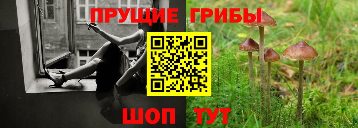 Галлюциногенные грибы Psilocybe Шали